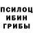 Псилоцибиновые грибы Cubensis apm bomja