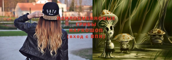 спайс Пересвет