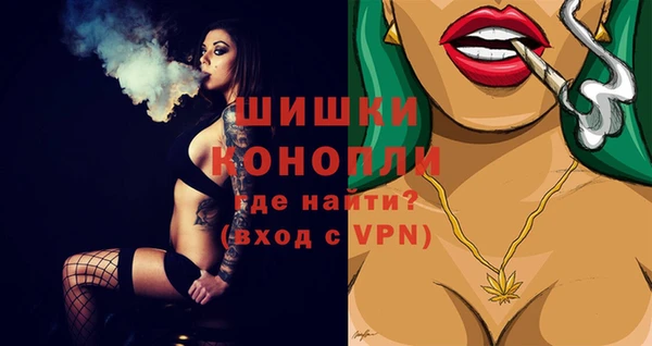 спайс Пересвет
