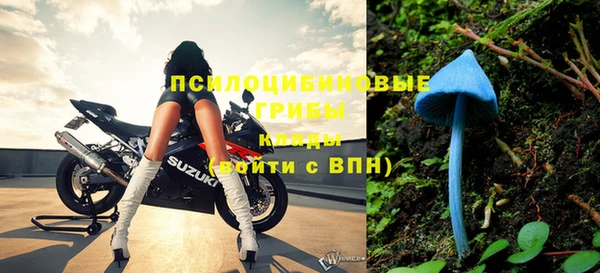спайс Пересвет