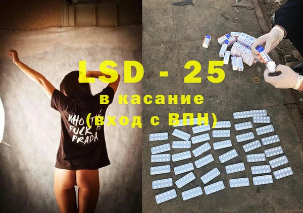 спайс Пересвет