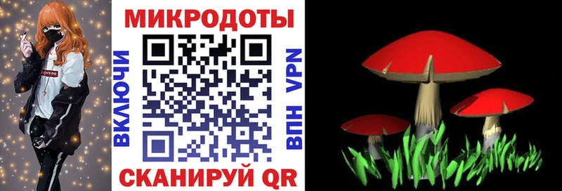 купить   Тырныауз  MEGA зеркало  Галлюциногенные грибы Psilocybe 
